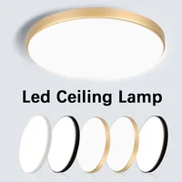 Super Waterpoor Led Ceiling Light Panel Bathroom Lights 30W Wall light led Light for Kitchen Bedroom Ultra thin Ceiling lamp 1