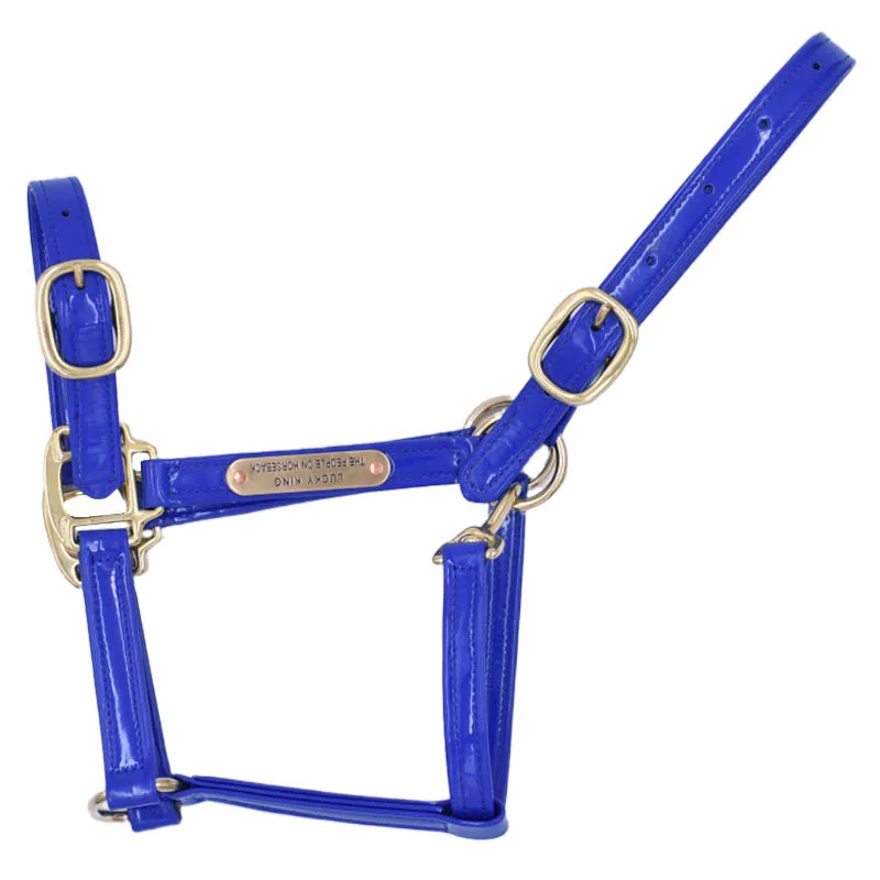 Sf38b50e0f2ae46f389320ba51310e69dw