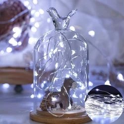 LED Battery String Lights with Remote - Christmas and Home Decor Ornament for Living Room, Bedroom, Garden, Wedding, and New Year Celebrations (White Light)