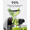 SiFENE Slow Masticating Cold Press Juicer Machines for Fruit & Vegetable, Juice Yield Maker Extractor with Dual Mouth, Gray 3