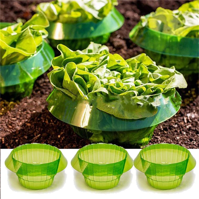 1/6/10 db Tartós Csigavédelem Zöldségek Borító Virágcserép -Gyár Csiga Gallérellátás Kerti Szerszámok
