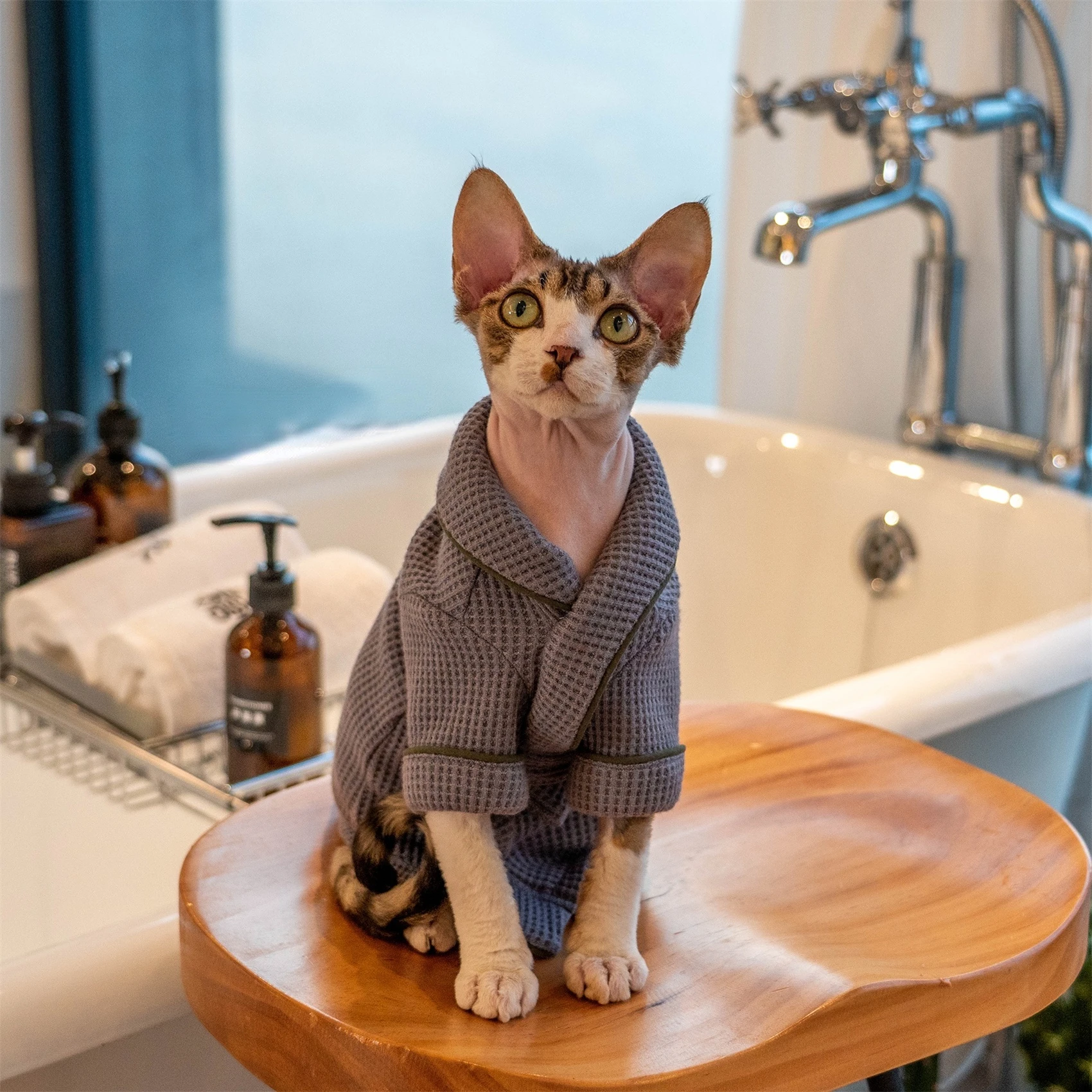 Pet Bathrobe Bath Towel Soft Absorbent Cat Clothes Hairless Cat Clothes Pure Cotton Autumn and Winter Sphynx Cat Clothes