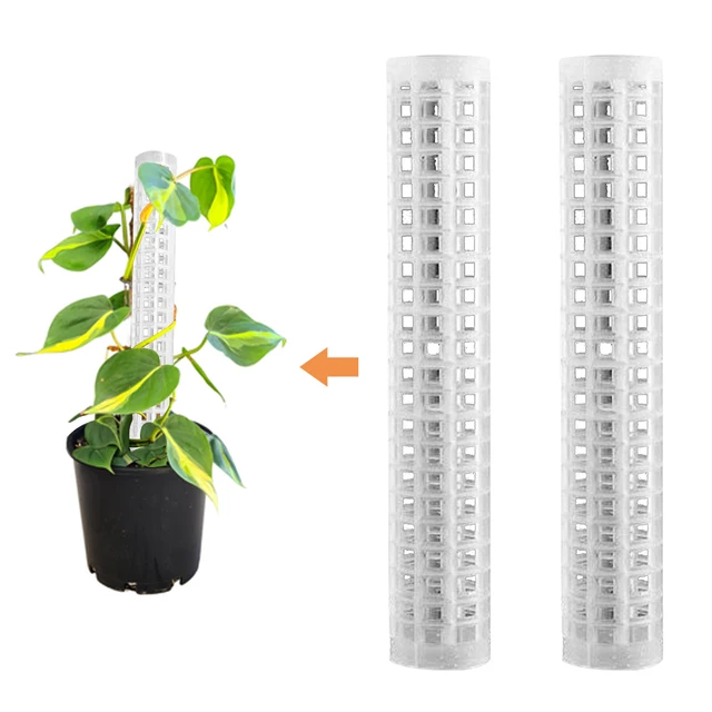 2Dcs Kúszónövény Kókuszdió Totem Bot Beltéri Otthoni Kerti Mohaszárka Felfelé Nőtt