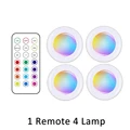 1 remote 4 lamp