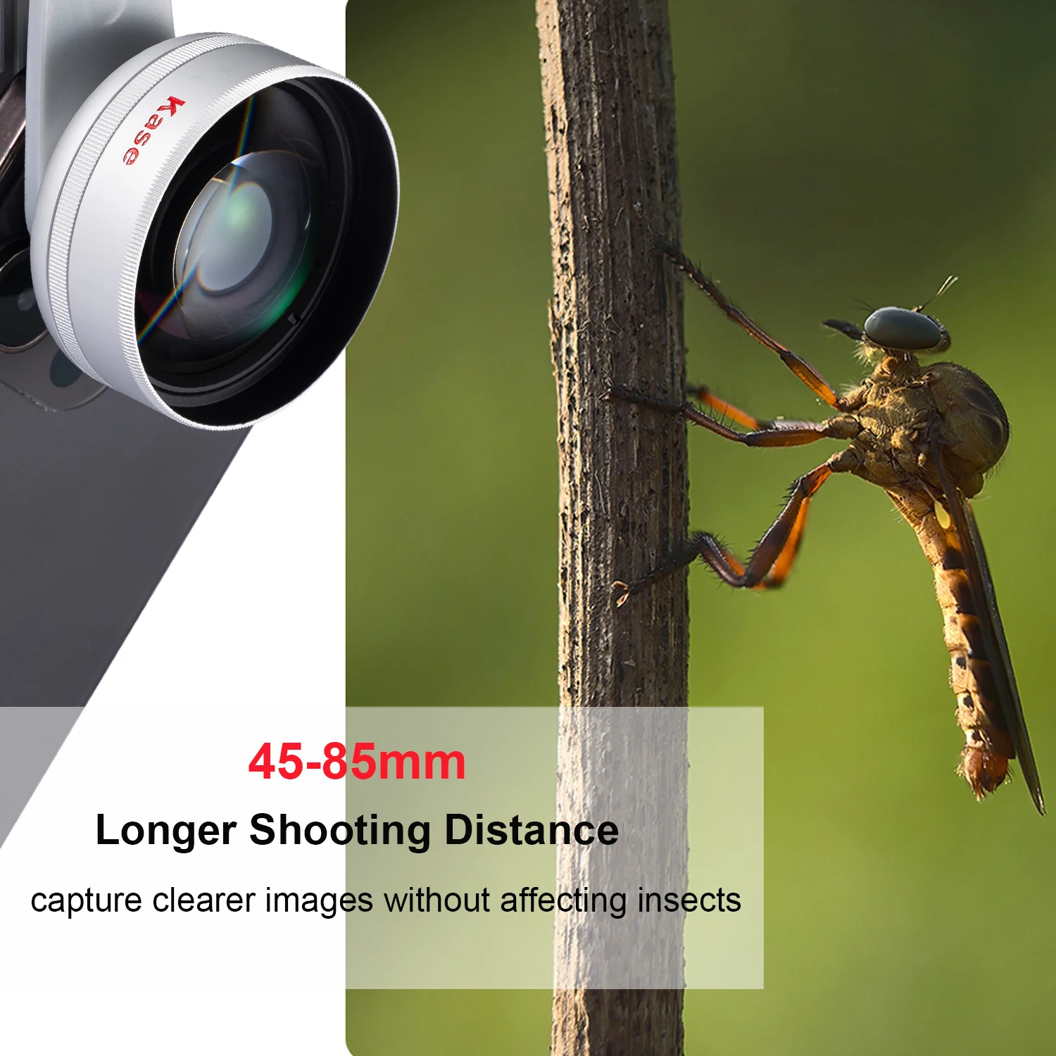 Telephoto Lens Macro Lens For Insects Kase HD Master Macro Lens