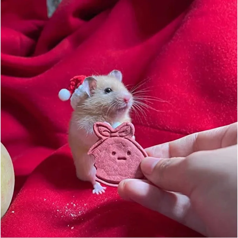 Handmade Woven Christmas Hat Decor - Mini Party Accessory for Pets - Cute Animal Cap for Home Decoration Practical Pet Hat