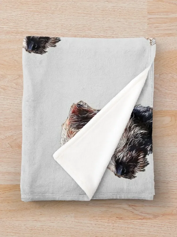 ���� �׸��� ������ ���, �ʴ��� ������, �ҷ��� ���� ���