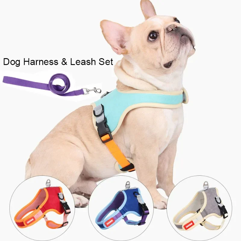 Hundegeschirr Mit Leine Für Kleine Welpen – Atmungsaktiv, Verstellbar, 2 D-Ringe, Ohne Ziehen