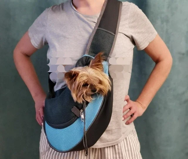 Title 27, Pet Puppy Carrier S/L Outdoor Travel Dog Should...