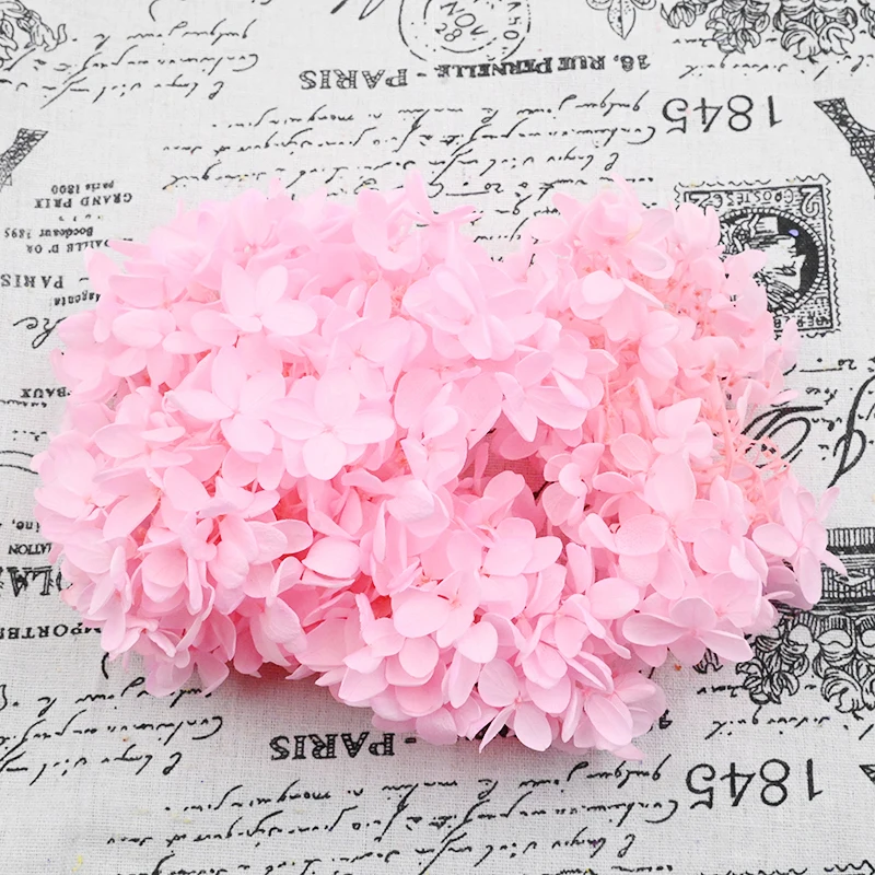 

Real Natural Fresh Preserved Hydrangea Flower Head,Wedding Eternal Big-Leaf Flowers for Home Decor, Candles, 5g per Lot
