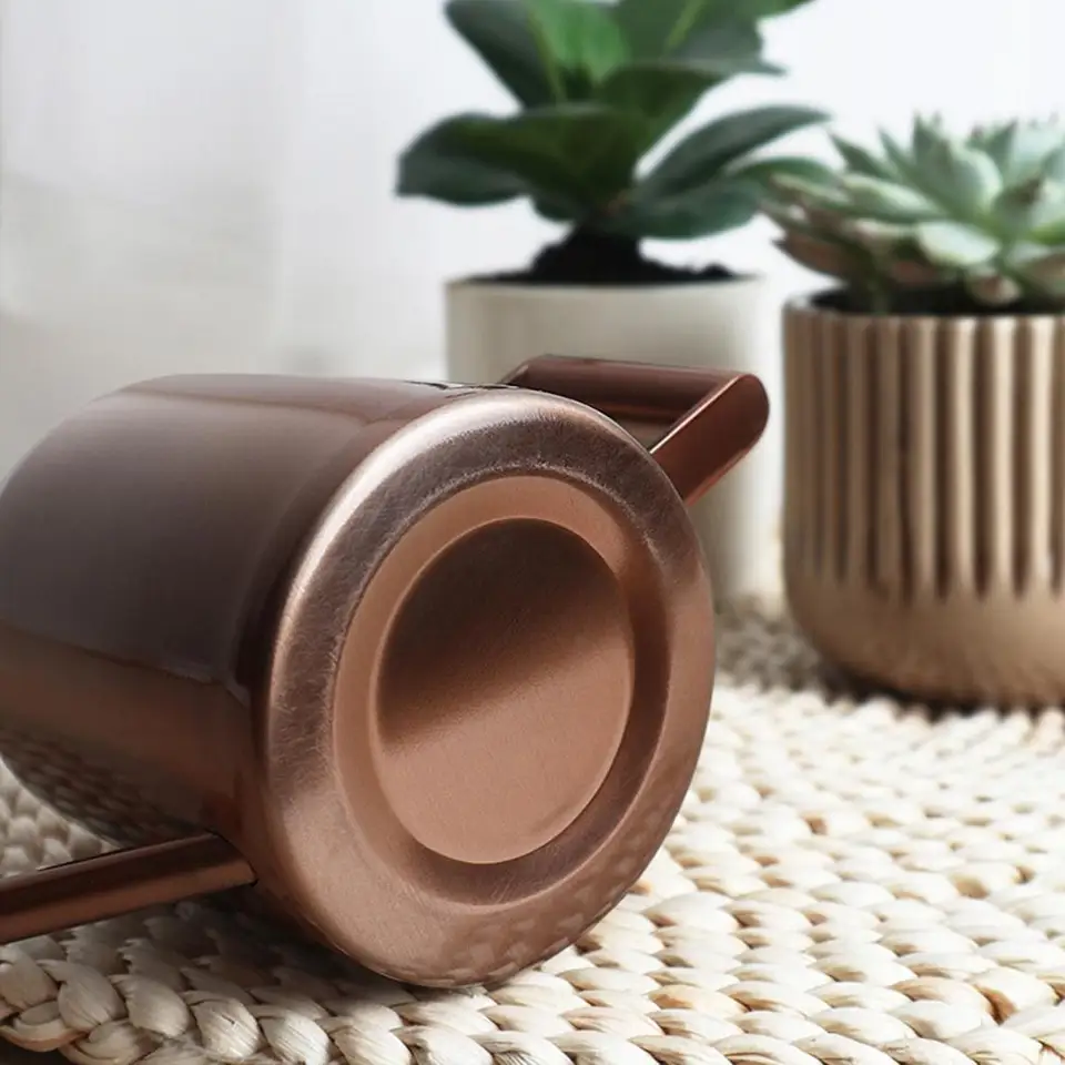 NZXVSE Annaffiatoio in metallo, mini vaso d'acqua da giardinaggio per bambini, annaffiatoio da giardino in ferro, per piante da interno e esterno, beige