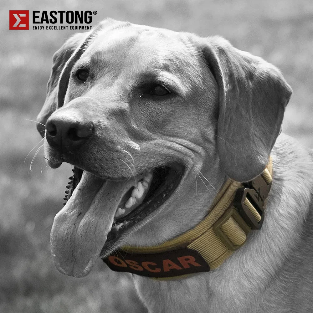 Reflective Nylon Tactical Dog Collar Classic Military Training with 2 Heavy Duty Metal Buckle Handle For Large Dog Collar dog collar pet collar