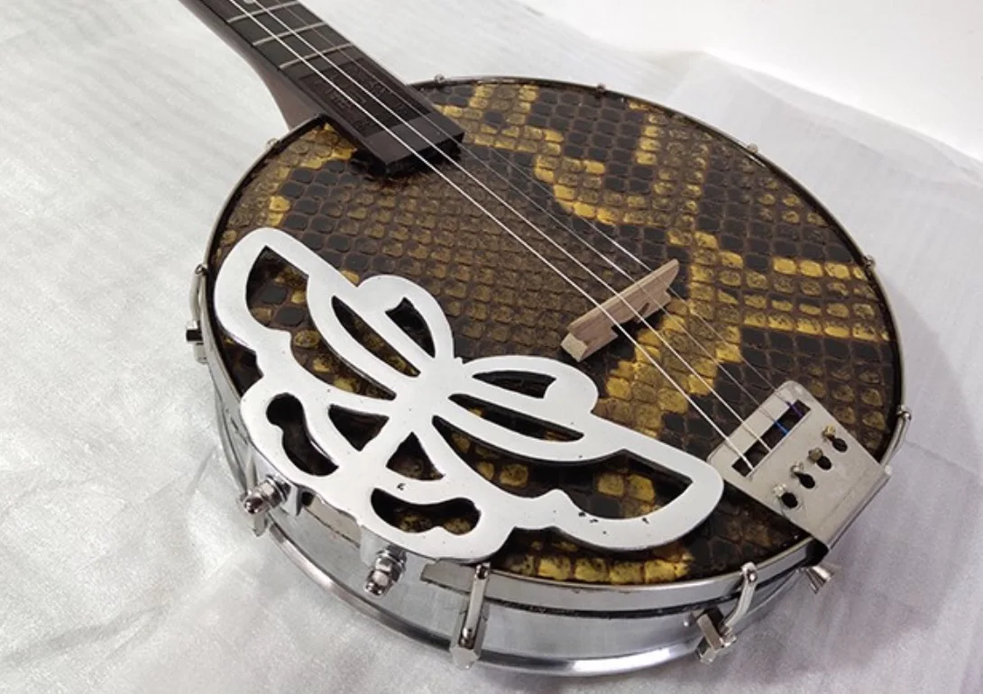 Qinqin semitone Twelve equal law 19 grades Chinese national plucked string instrument