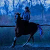 100CM Chargeable LED Horse Tail USB Lights Decoration Luminous Tubes Horse Harness Equestrian Outdoor Sport Flashing Ridin 1