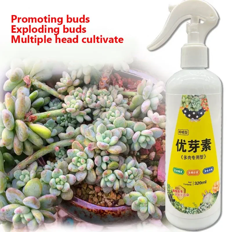 Root Stimulator Plant Fertilizer Sticks Plant Nutrient Solution Plant Compound Fertilizer Succulent Plant Eugenin Promotes Budding Dwarf Fat Prevents Leggy Organic Granules 320ml