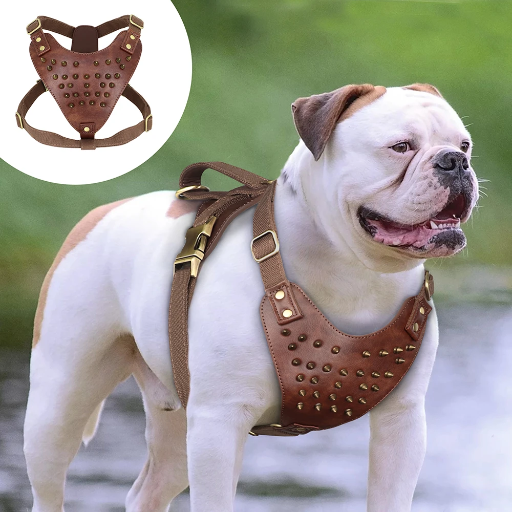 Kameel Zuiver een miljard Cool Spiked Beslagen Hond Harnas Duurzaam Lederen Harnas Hond Vest Voor  Medium Grote Honden Pitbull Bulldog Boxer Accessoires| | - AliExpress