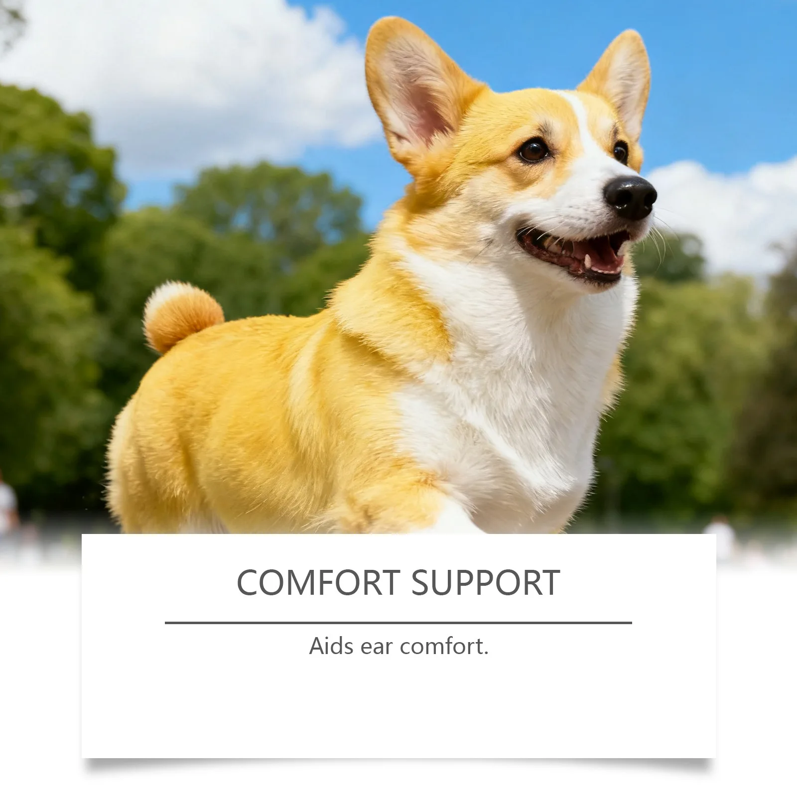 EelJoy Dog Ear Cleaner Image 7