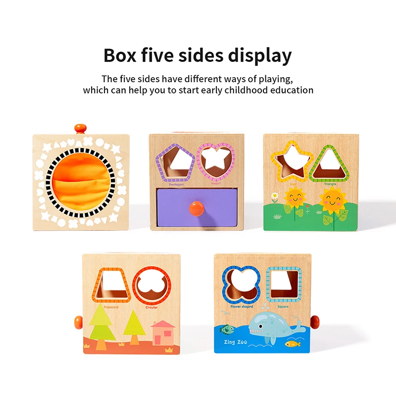 Montessori Wooden Sensory Toy Baby Shape Matching Color Cognition  Permanence Box Kid Music Stick Fine Motor Skill Education Toy 5