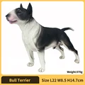 Bull Terrier
