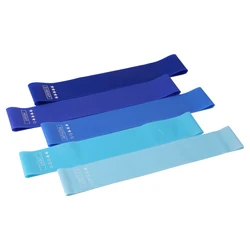 5-Piece Elastic Fitness Resistance Bands Set for Yoga and Exercise Training (Gradient Blue)