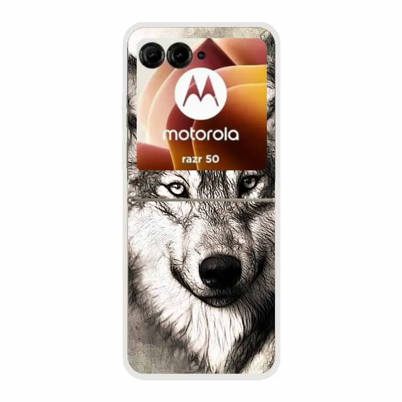 Cartoon Design Transparent Hard Plastic Back Cover Case