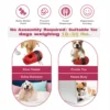 Bully Stick Holder Dog Toy Slow Feeder Ball Food Dispensing Toy for Small Medium Dogs Irregular Rolling Design Dog Toys 3