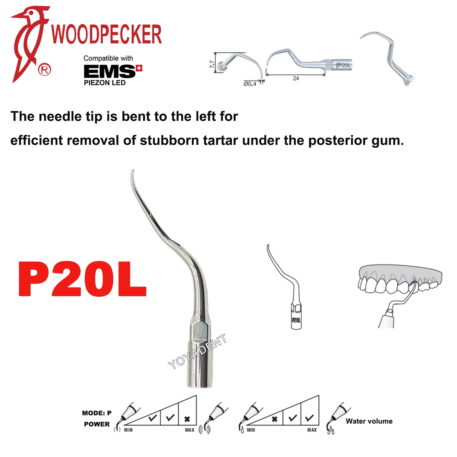 P20L