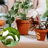 20-100PCS Plant Clamp Bending Device Flower Vine Branches Plant Stem Training Clips Plant Growth Bender Control Support Clamps 3