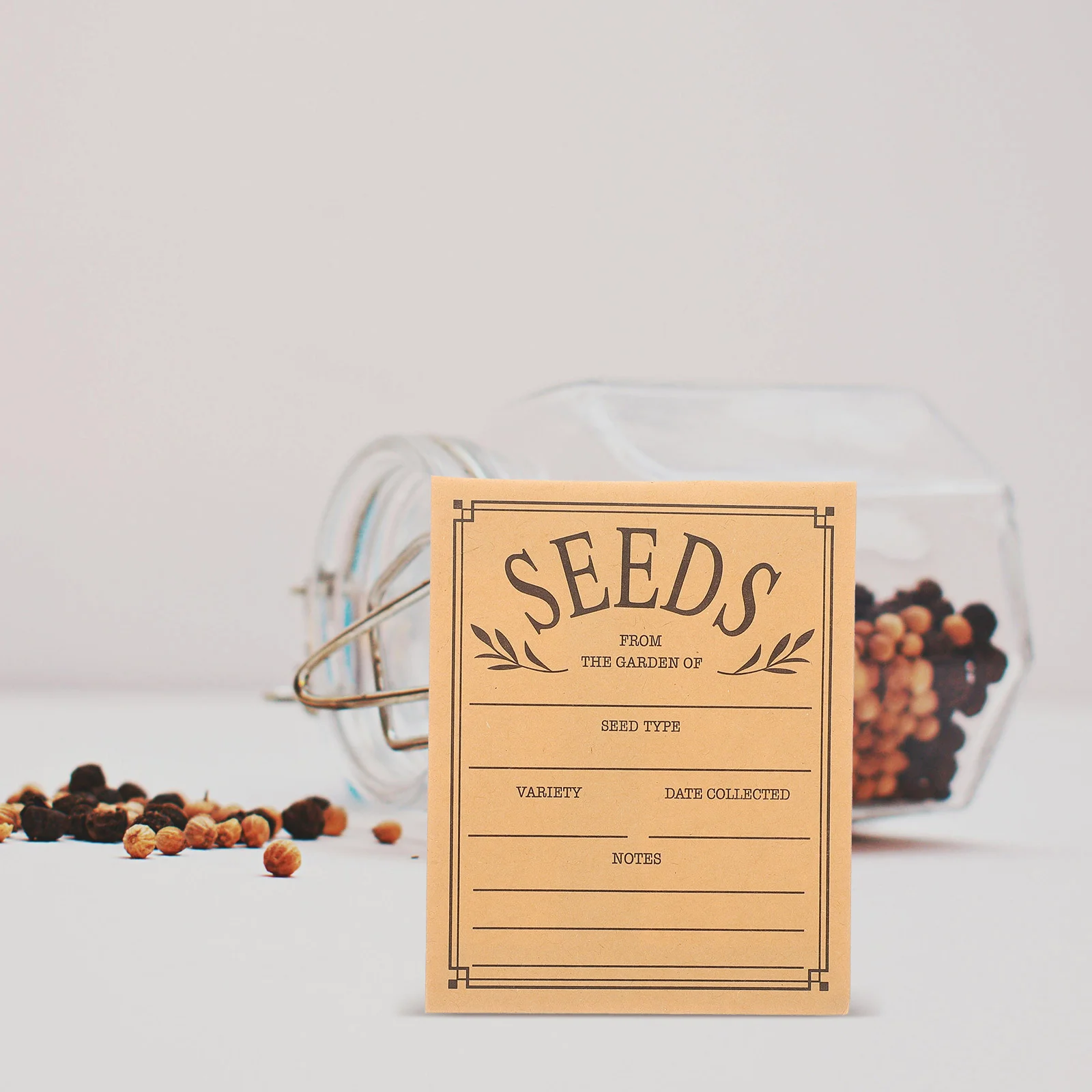 Seed Envelopes 50 Pcs Paper Packets Small Envelopes Packets Resealable Vegetable Seeds Blank Money Craft Printing Products