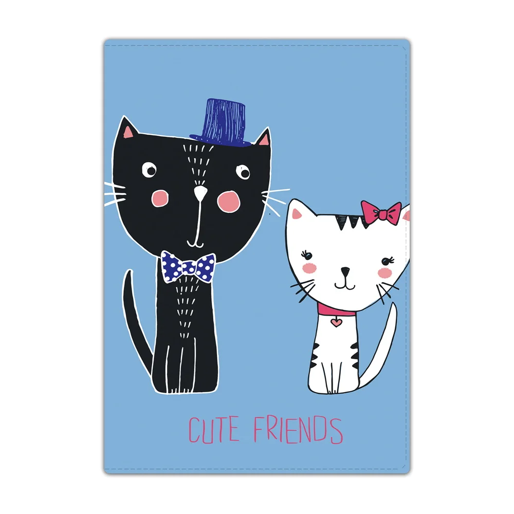 Рисунок 4 - Новинка Обложка для паспорта для