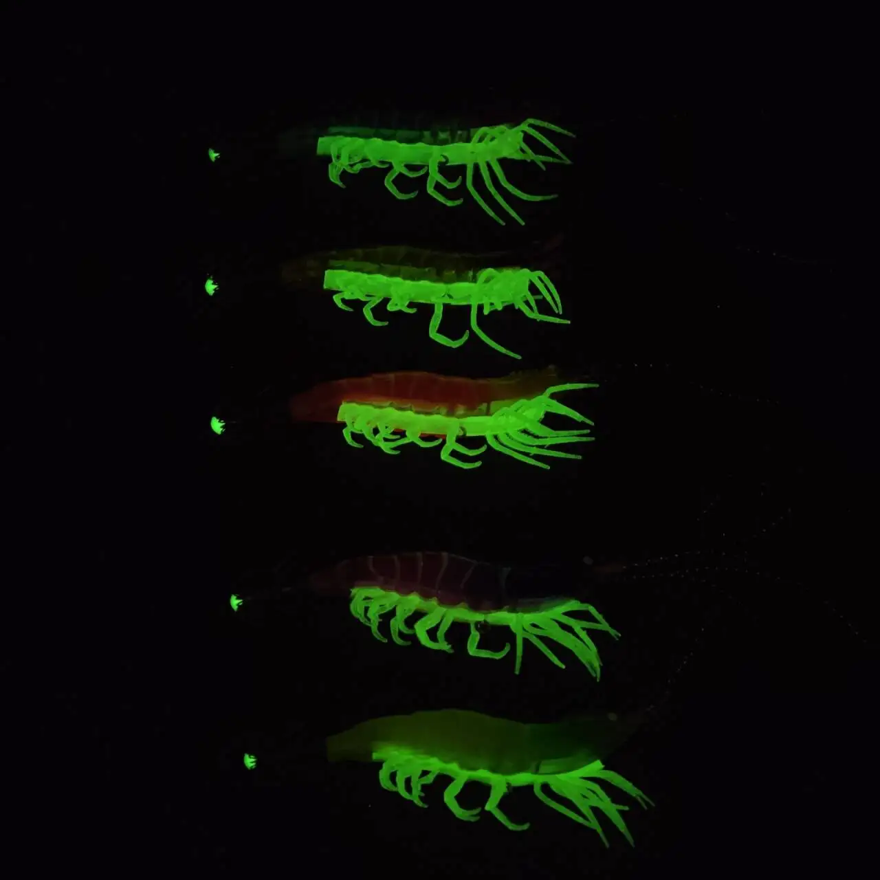 3 stücke 10,5 cm Glow Garnelen Garnelen Köder Leucht Salzwasser Garnelen Angeln Locken Tintenfisch Angeln Zubehör Octopus Echte Garnelen – Detail 3