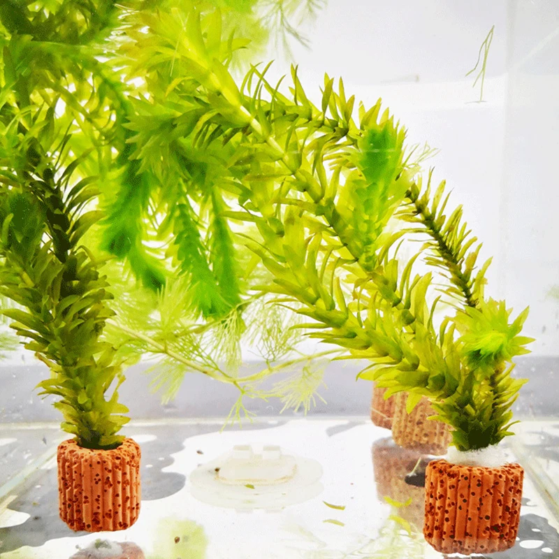 Fish Tank Decorations Aquarium Ornaments 10/20/50Pcs Aquatic Water Plant Fixed Ring for Aquarium Landscape Ceramic Plant Pot Ring Tool Decorations Fish Tank Accessories