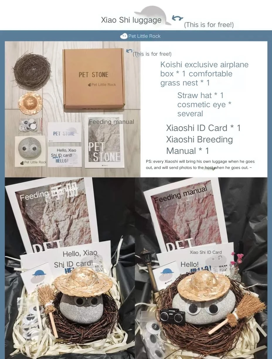 Pet Stone Minions Stesso Stile Keeers Stone Pets Stone Pets Stone Pets Otto Stone Xiaojing