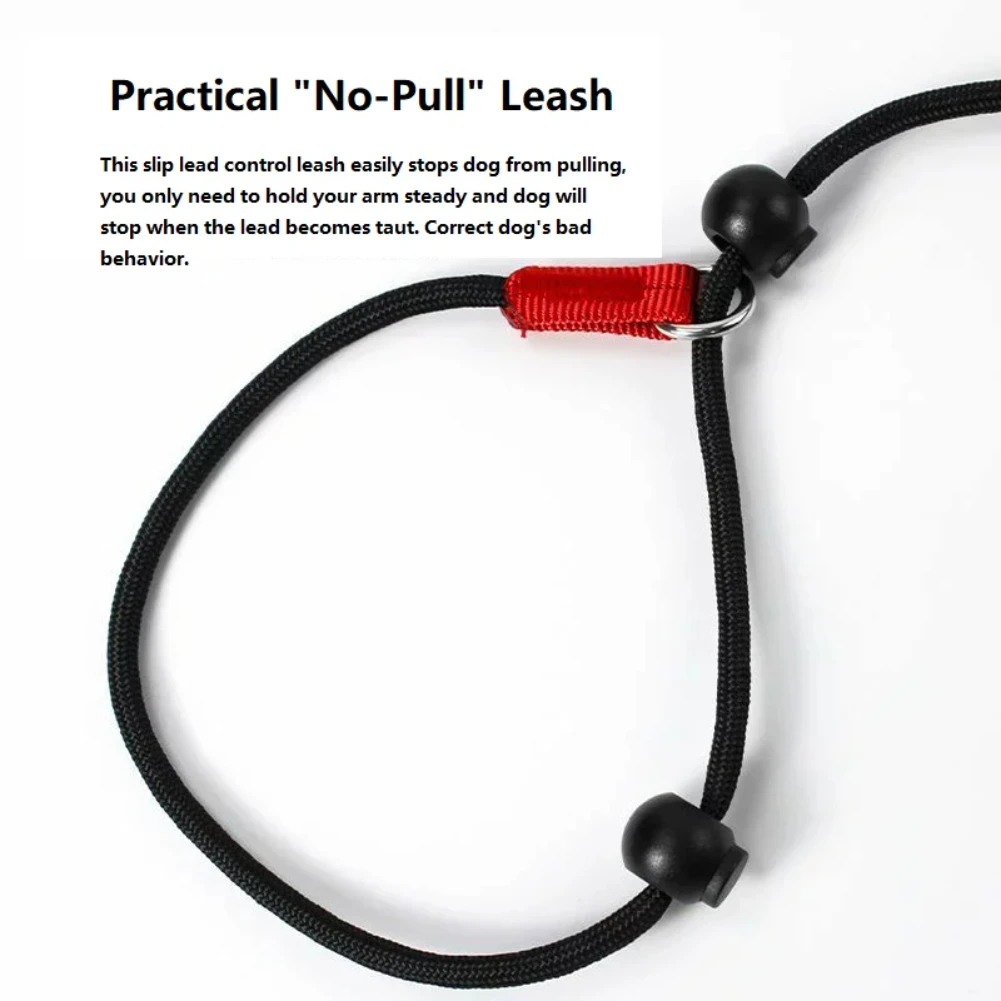 Training Dog Choking Rope Leash 2 in 1 Lead Collar 150cm P-Shaped Chain Slip Lead Control Leash for Small Large Competition Dogs 3