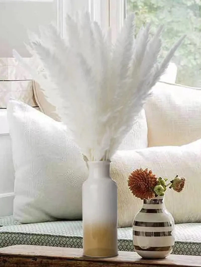 

Натуральная пампасная трава, пушистая сухая маленькая трость, букет цветов в стиле бохо, украшение для гостиной, Свадебная вечеринка, трава, ветки, Декор, 30 шт.