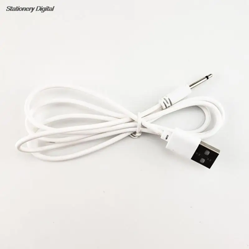 1m Universal Rechargeable USB DC 2.5 Vibrator Charger Cable Cord for Adult Toys Vibrators Massagers Accessories USB Power Supply