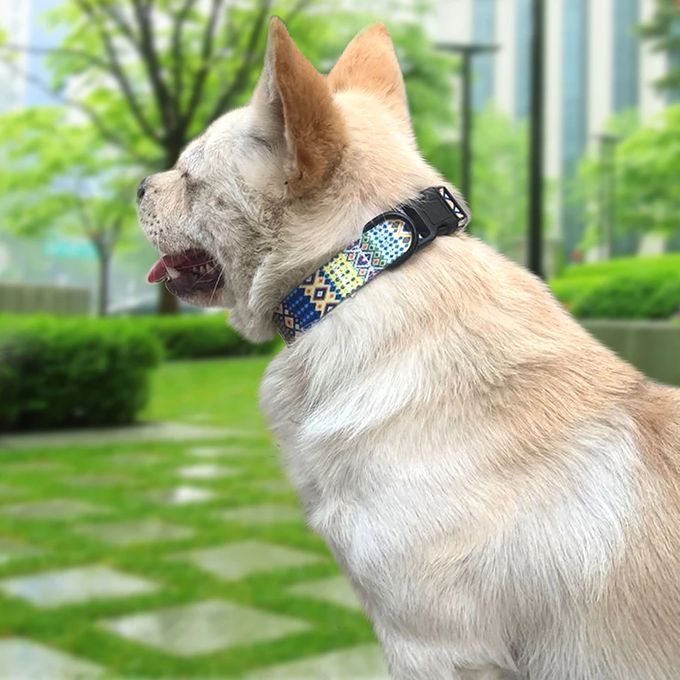 Cono Suave Para Perros, Cono Para Mascotas, Collar De Recuperación Para Perros Después De La