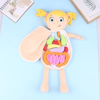 Kid Montessori Toys 3D Puzzle Human Body Anatomy Doll Body Organ Teaching Aid Science Learning Kits Children's Birthday Gift 1PC 1