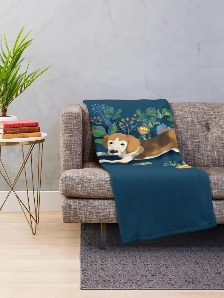 ��������� ��� ��Ʈ �� ������ ���, �� ���� ������ ���