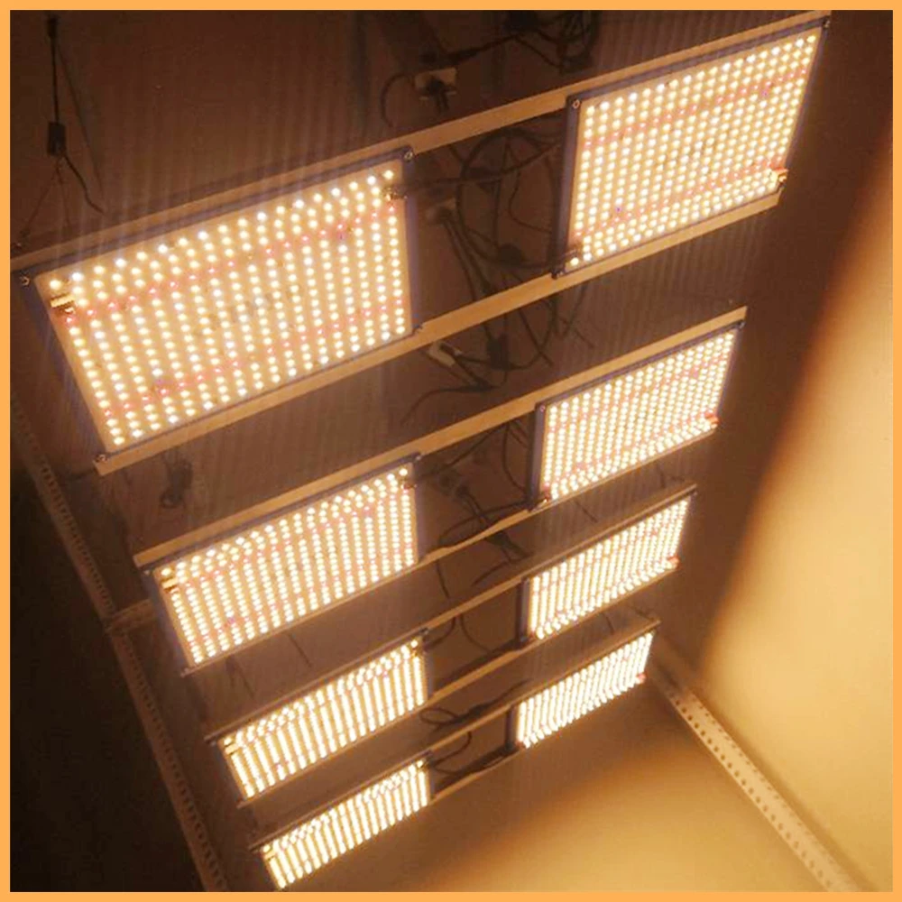 240W LED Grow Light Samsung LM301 Diodes Meanwell Driver Dimmable Sunlike Full Spectrum