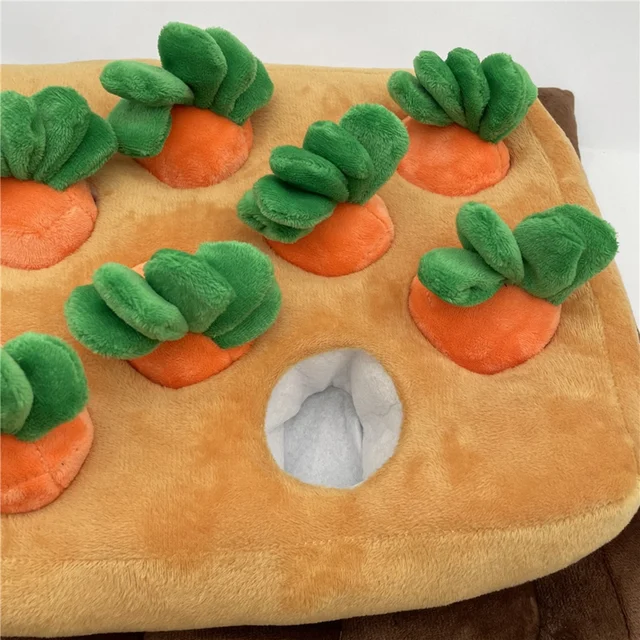 Carrot Plush Toy Mat – AlphaOne