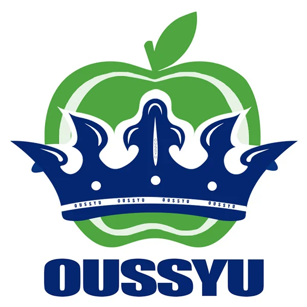 OUSSYU Store