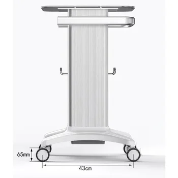 Handcart Hairdressing Auxiliary Professional Aesthetic Cart Organizer Cart Wheels Carrito Auxiliar De Spa Beauty Salon Furniture