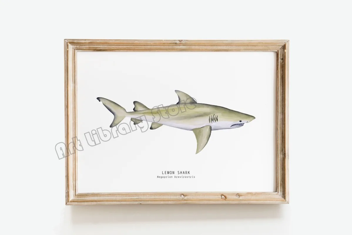 Marine Life Ocean Animals Canvas Art Poster - Whales, Sharks, and Turtles