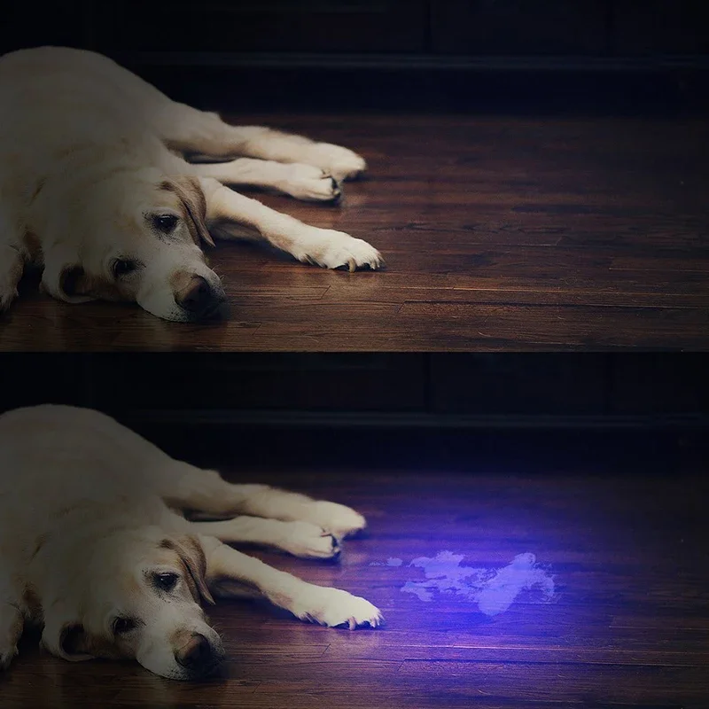 Description Picture 5 of itemUV Flashlight LED 365nm Rechargeable Ultra Violet Ultraviolet Invisible Torch for Pets Stain Hunting Marker Use 18650 battery