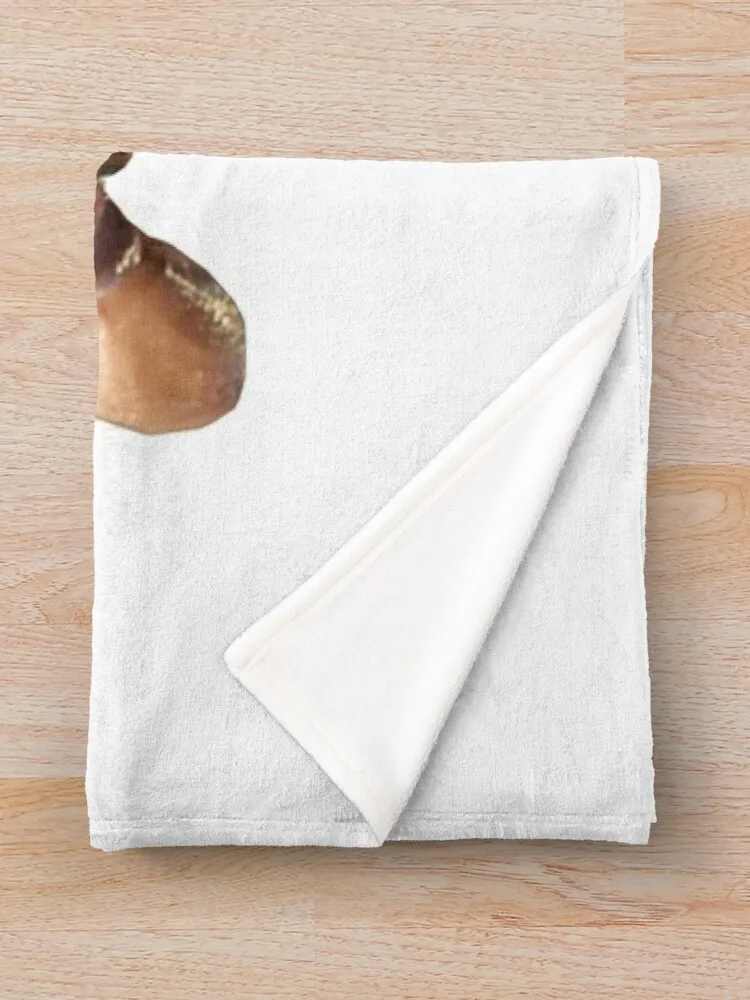 �� ������ ������ ���, ħ�� ���, �߷�Ÿ�� ����, ���̵�� ���, ���Ÿ� ����Ʈ ���