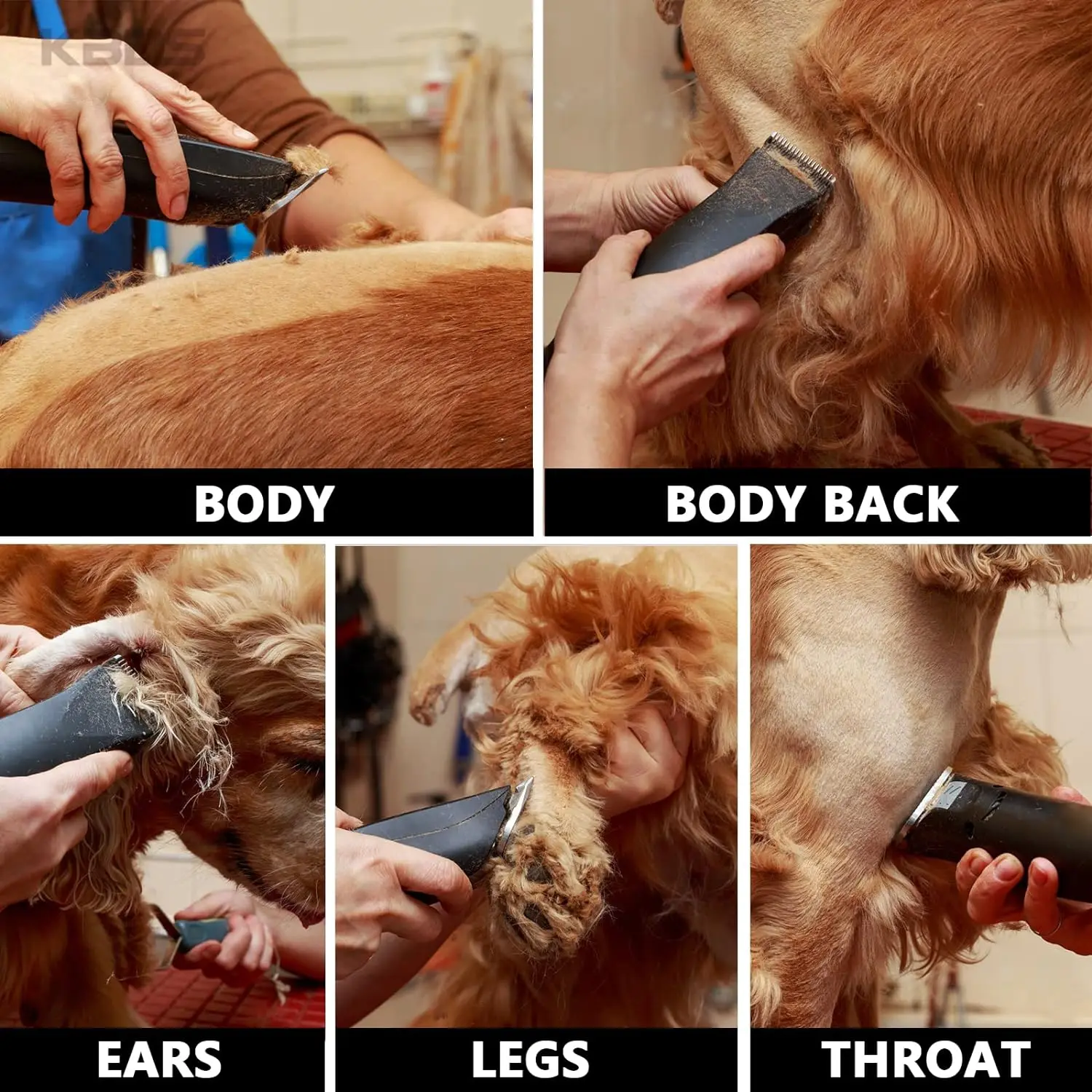 Professional Pet Clipper Replacement A5 Blade Compatible With Andis/Oster A5/Wahl KM Series Dog Cat Clippers