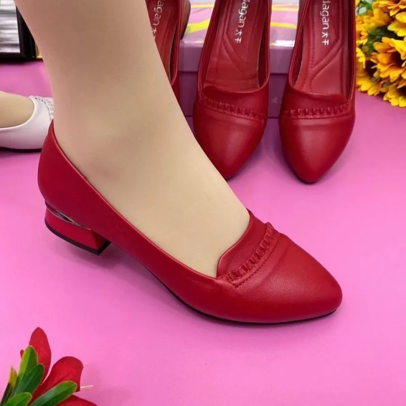 Single Shoes Thick Heel Genuine Soft Leather Women's Spring and Autumn Non-slip Soft Bottom Leather Fashion Pointed Shoes
