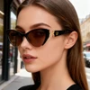 Womens Cat Eye Sunglasses Narrow Frame UV Protection Street Style High Aesthetic Sun Glasses Hot Sale