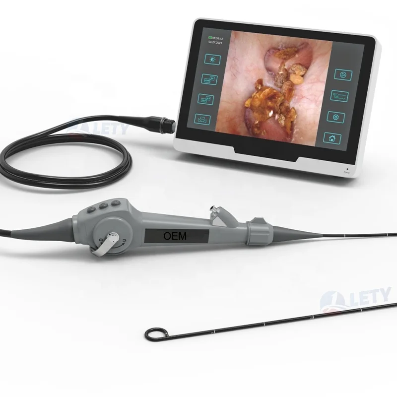 Рисунок 2 - Гибкий видео уретероскоп для цифрового